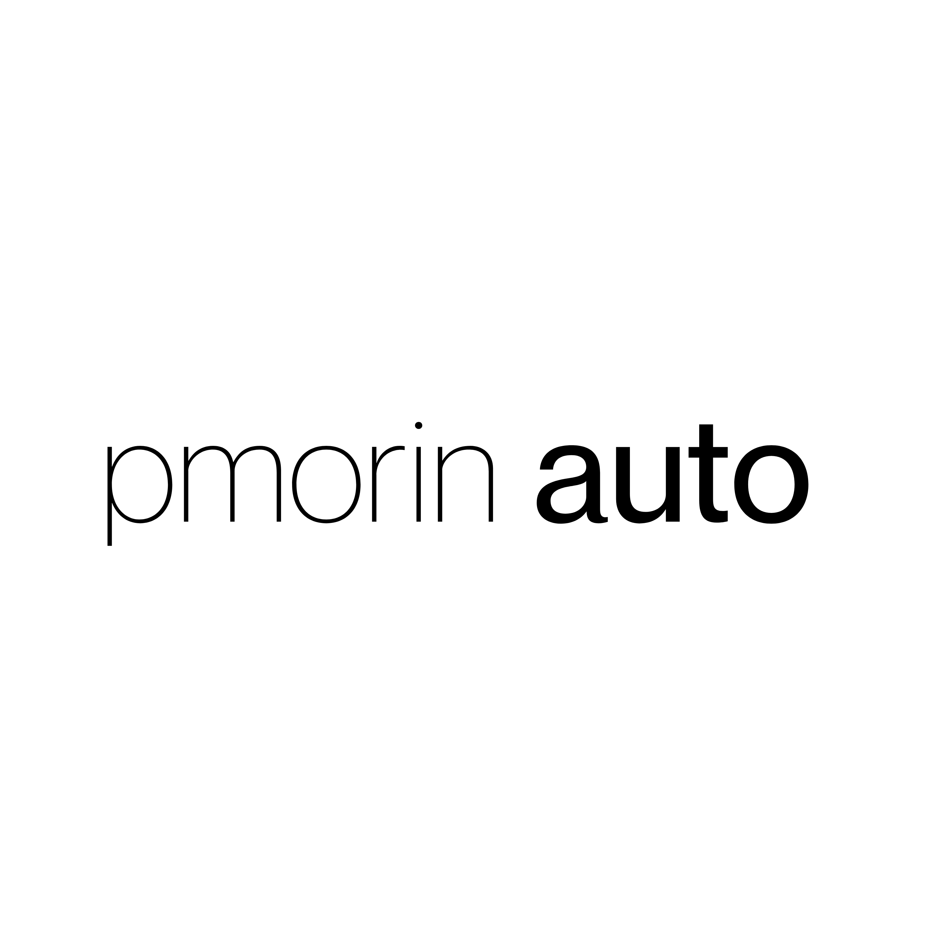 pmorin auto